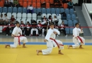 Центральная Школа Каратэ - Central Karate School-catalog